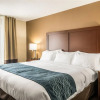 Отель Comfort Inn & Suites - Hannibal, фото 27