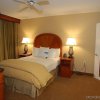 Отель Homewood Suites by Hilton Atlanta-Peachtree, фото 4