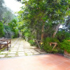 Отель Villa Bacco in Termini, фото 16