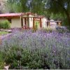 Отель Posada Don Juan, фото 5