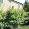 Отель Virginio Castelfalfi Countryside, фото 21