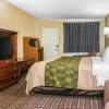 Отель Econo Lodge, фото 4