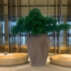Отель Ji Hotel Changchun International Convention and Ex, фото 10