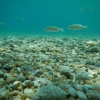 Отель Big Dinos Galini, фото 10