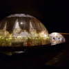 Отель Garden Domes, фото 27