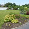 Отель Avondale Bed & Breakfast, фото 3