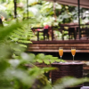 Отель Daintree Ecolodge, фото 9