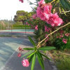 Отель Villa Teti Residence, фото 5