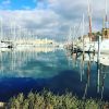 Отель Studio in Leucate, With Balcony - 250 m From the Beach, фото 15