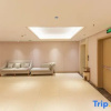 Отель Dinis Hotel (Luoyang Kaiyuan), фото 7