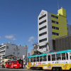 Отель Kochi Terminal Hotel, фото 1