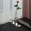 Отель Aparthotel Lenau, фото 1