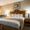 Отель Quality Inn & Suites, фото 20