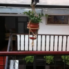 Отель Huayruro Guest House, фото 13