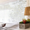 Отель New The Saguaro-tiny Shipping Container Home, фото 2