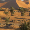 Отель Le Mirage Erg Chebbi Luxury Desert Camp, фото 15
