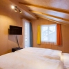 Отель Chalet Annelis Apartments, фото 4