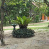 Отель Captain's Lake Safari Lodge, фото 8