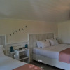 Отель Le Petit Hotel ve Bağ Evi, фото 5