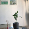 Отель Charming Studio Near Fac - 5min From the Center, фото 4