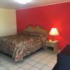 Отель Shelton Motel, фото 3