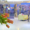 Отель Villa Misk Suites, фото 2