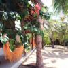 Отель Santa María Atins, фото 8