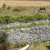 Отель Agriturismo La Palascìa, фото 17