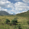 Отель Dawson Lodge, фото 23