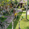 Отель Nyoman Sandi Guest House, фото 14