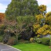 Отель Lilybrook Rangiora Motel, фото 8