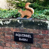 Отель Squirrel Barn, фото 1