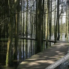 Отель Mengyue Resort, фото 10