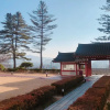 Отель Sejong Hotel Chuncheon, фото 11