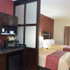Отель Red Roof Inn PLUS+ & Suites Chattanooga - Downtown, фото 7
