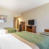 Отель Comfort Inn & Suites, фото 43