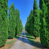 Отель Casale Giulio, фото 17