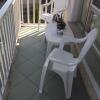 Отель Family Home Apartment в Замарди