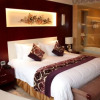 Отель New Century Fengming Resort Zaozhuang, фото 5