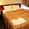 Отель City Hotel Ando в Ивакуни