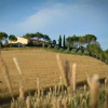 Отель Agriturismo Il Catrino, фото 7