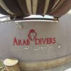 Отель Arab Divers, фото 25