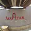 Отель Arab Divers, фото 5