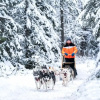 Отель Ruka Safaris - Karhun Maja, фото 15