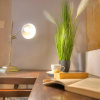Отель Romantic and historical maisonette in the center of Valletta MBAL1-1, фото 11