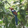Отель Handapan Falls - Holiday Resort, фото 6
