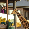 Отель Jamala Wildlife Lodge, фото 16