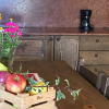 Отель Agriturismo Alpenvidehof, фото 18