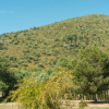 Отель CAS PADRI 6 - Villa with private pool in Capdepera. Free WiFi, фото 2