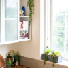 Отель Sunny 1 Bedroom Apartment in St Kilda Near the Beach, фото 8